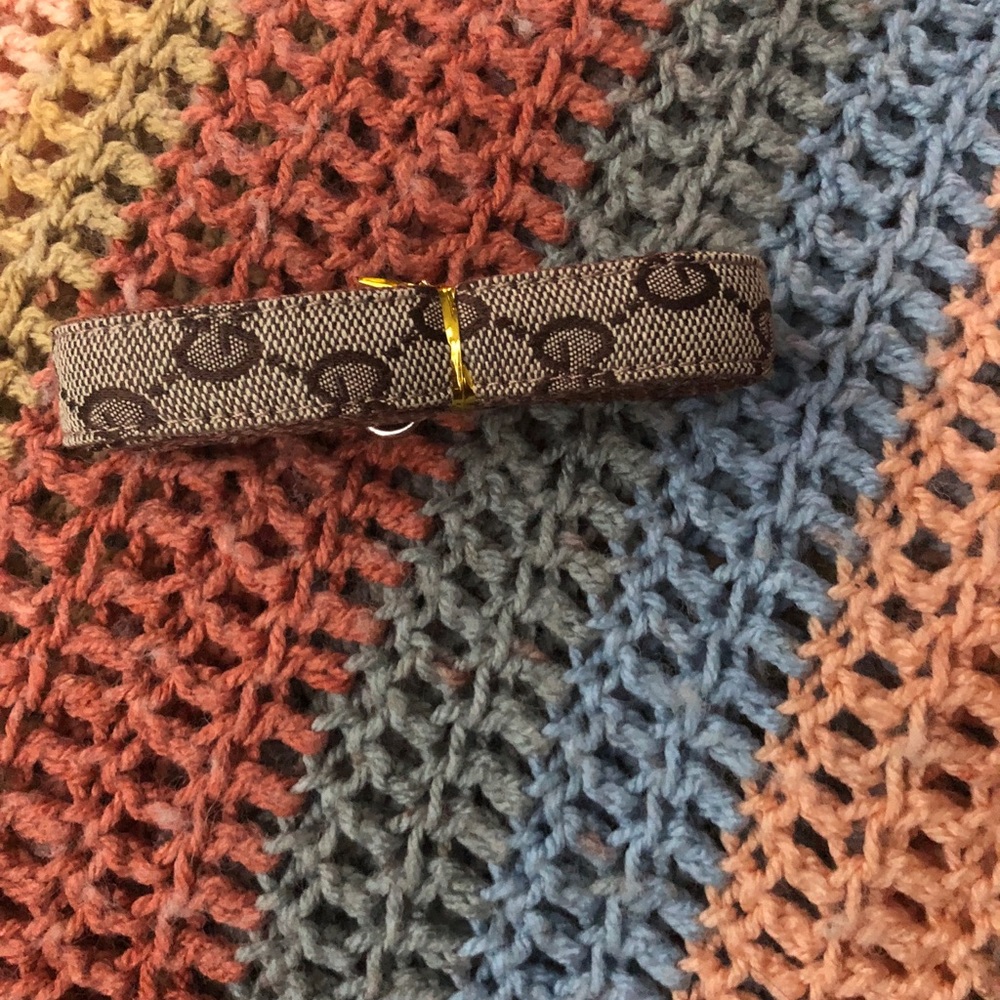 Leash for small dog or rabbit